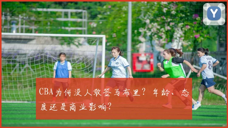 CBA为何没人敢签马布里？年龄、态度还是商业影响？