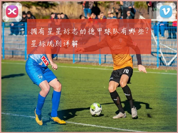 拥有星星标志的德甲球队有哪些？星标规则详解