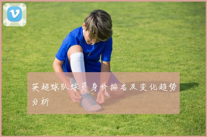 英超球队球员身价排名及变化趋势分析