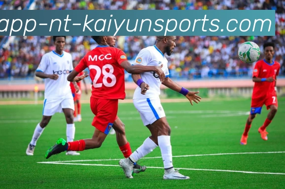 开云体育服务体系